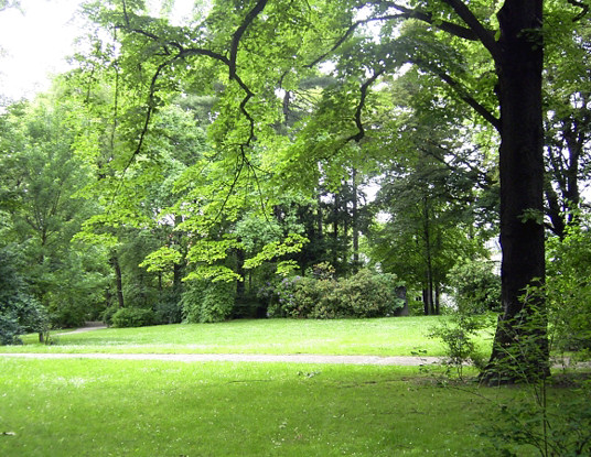 Fichtepark Bild 1 Grossformat