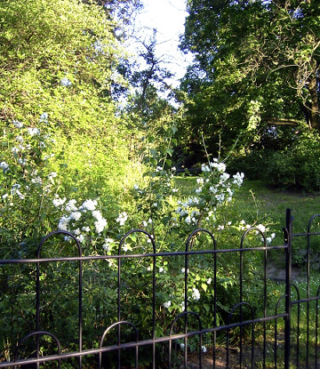 Fichtepark Bild 1 Grossformat