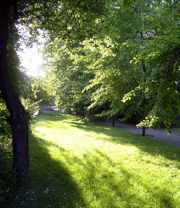 Fichtepark Bild 1 Grossformat