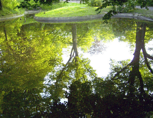 Fichtepark Bild 1 Grossformat