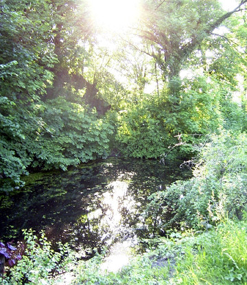 Hoher Stein Bild 1 Grossformat