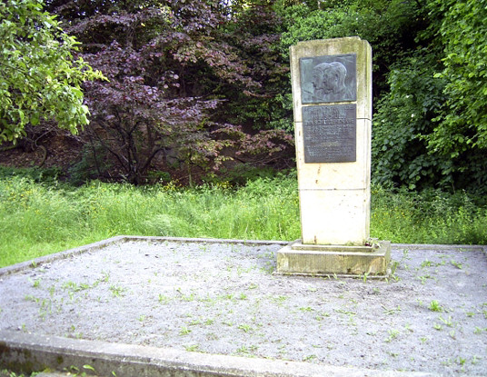 Hoher Stein Bild 1 Grossformat