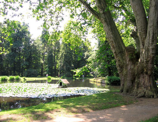 Schloss Pillnitz Bild 1 Grossformat